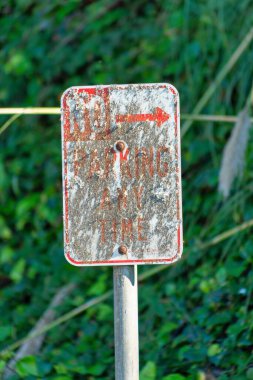 No parking sign with moss and aged look with paint that is weatherd by the harsh conditions of time and decay. In shade ackground with forest trees in a dense urban or natural setting.