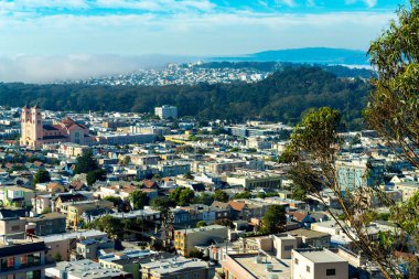Cityscape of downtown historic districts of san francisco california in midday sun with distant fog on mountains. In sun with visible trees and buildings houses and businesses on city streets.