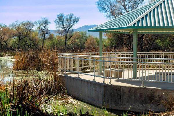 Lookout with metal roofed gazebo with ridges and texture on surface in shade with handrails and cement walkway in sun. Natural water grass with cat tails and moss near lake or pond or river.