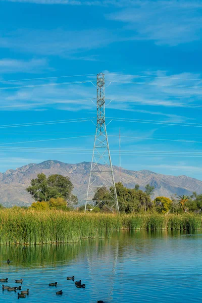 Power or telephone tower used to hang lines with metal exteror in background and tranquil lake with foliage. Visible moutains and grasses and plants with ducks in pond midday sun.