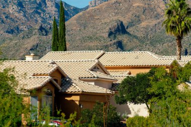 Row of urban rooftops with white adobe tiles on suburban houses in the late afternoon desert sunlight. In Arizona with front yard trees and palms with background moutains in the city.