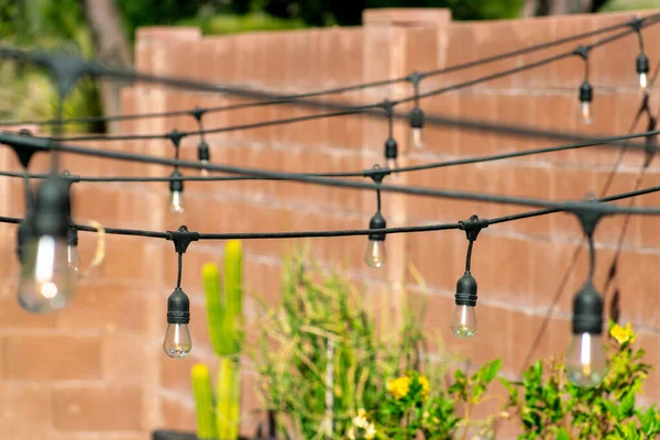 Row of decorative lighting in an outdoor seating area in a front or back yard or house or home in late afternoon sun. Visible light ropes with bulbs and orage brick wall with trees and plants.