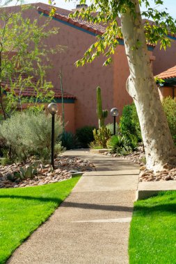 Decorative path with sidewalk in a park or recreation area with green grass and tall trees in a suburban area of the city. Hidden path in a walking area for jogger or runners or walking the dog.