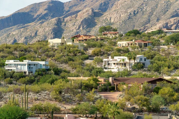Modern houses spread across hilltop with moutain background and mansions in the wilderness with cactuses. Native grasses with adobe style homes in the neighborhood in woods.