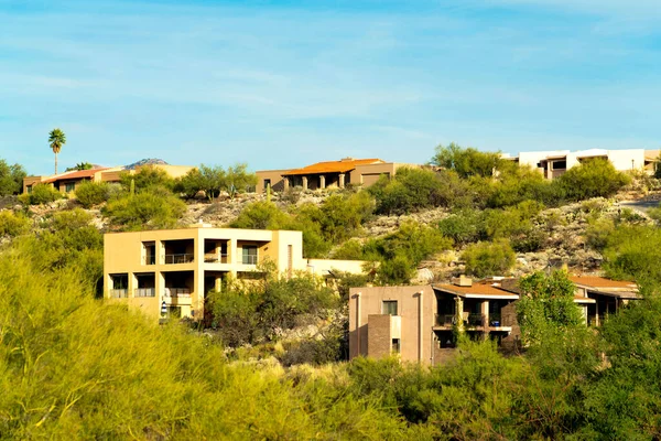 Row of modern mansions in the sonora desert with house and homes in the hills and moutain landscapes of arizona. Visible cactuses and palm trees in a native grass landscape with clear blue skies.