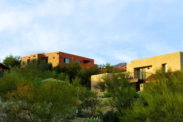 Adobe style buildings with flat roofs and stucco exteriors with desert pallets and colors with back yard trees and cactuses. In late afternoon shade with hazy white sky in rural arizona neighborhood.