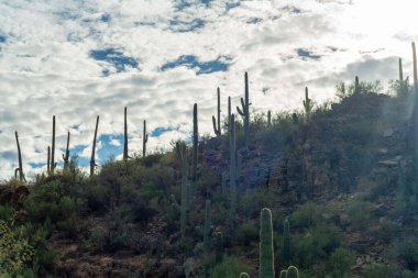 Sun flare hills in late evening shade with blue sky and clouds on cold stormy day in the ciffs and hills of arizona. In Tuscon at sabino national park with sagauro cactuses and natural vegetation.