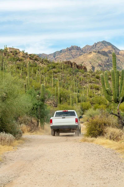 White truck in the hills of arizona on hiking or walking trail with mountain background and natural vegetation. Visible cactuses in midday shade with plants and trees in sabino national park.