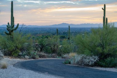 Desert path with hills and mountains in distance in the twilight evening of sunset with orange sky and cactus clouds in arizona. In tuscon in sabino national park in the cliffs of the desert night.