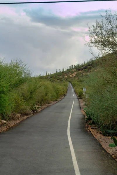 Long narrow bike path winding up a mountain in a desert location with cactuses and bushes and vegetation with asphalt. In shade on stormy cloudy day with white lines on road and path.