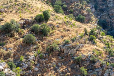 Cliffside hill with rock face on side of mountain in the great outdoors in wild west with shrubs and visible cactuses. Late in afternoon sun with rolling ridges in southwestern arizona united states.