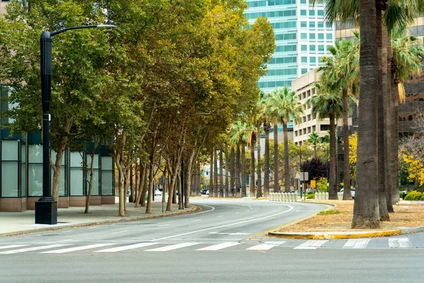 Crosswalk Silicon Valley San Jose Mit Pam Bäumen Und Hintergrundgebäuden lizenzfreie Stockfotos