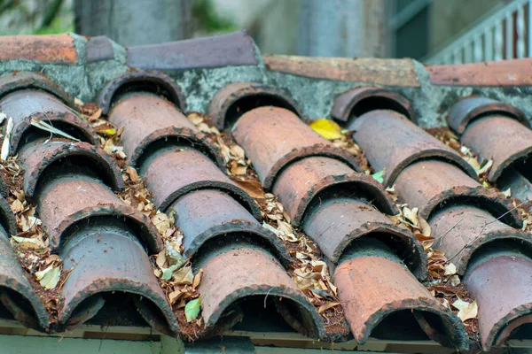 中心街の風の強い秋の季節には 植物や葉を上にした建物の上に装飾的なAdobe屋根タイル 午後遅く家や家の中に粘土現代の屋根を持つ日陰 — ストック写真