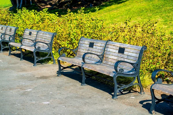 Row Benches Dark Metal Frames Wooden Seats Park Outdoor Area — Stock Photo, Image
