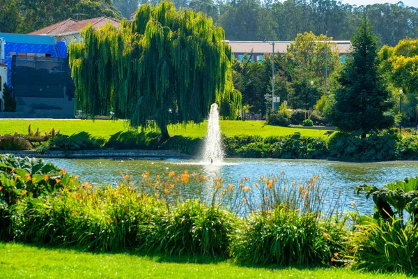 Çimen çalıları, gölet ya da gölü olan dekoratif ağaçlar ve öğleden sonra ortasında güçlü bir su birikintisi olan güneşli bir park. Köpeği gezdirmek ve doğada vakit geçirmek için açık alan..
