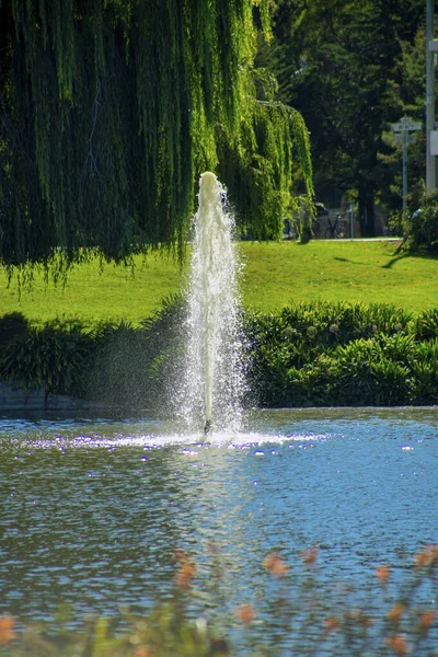 Lake or pond spout spraying water vertically in air with trees and water with shrubs and grass in afternoon light. In the daytime in park and outdoor areas of city and recreation time.