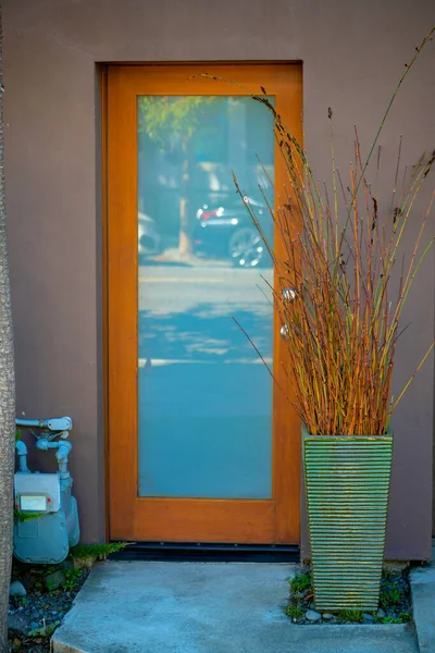 stock image Wooden front door with glass pannel and entryway dry plant in green vase or pot with cement walkway and brown wall. Side of house or home in urban area of downtown city with water gaurge in shade.