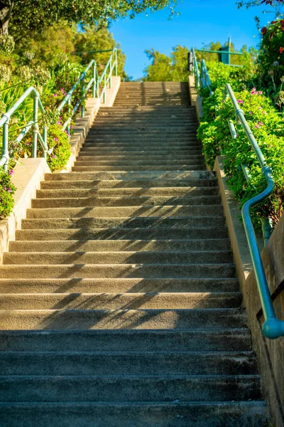 背の高い2つのプラットフォームの階段を分割し 金属製の手すり緑と側の木と公園近くのダウンタウンの街の葉 犬を散歩し 街の風景を旅行するための都市部のアクセス手順 — ストック写真