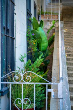 Şehir merkezindeki eve ya da eve giden küçük dekoratif gri metal kapı merdivenleri ve ön kapısı var. Çağdaş mahallede bitkiler, ağaçlar ve parmaklıklar var..