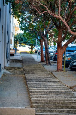 San Francisco şehir merkezinin tarihi bölgelerinde, öğleden sonra gölgesinde, uzun kaldırım merdivenleri. Yol kenarındaki ağaçlar, park halindeki arabalar ve tepedeki binalar..