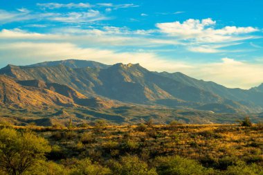 Kuzey Amerika 'nın vahşi batısındaki Arizona' nın kayalık ve vadilerinde dağlar ve kabarık bulutlu mavi gökyüzü. Öğleden sonra güneş ışığıyla birlikte doğal çalılıklar ve yapraklar..