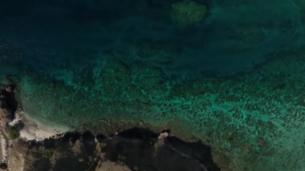 Ένα Μικρό Τυρκουάζ Και Πράσινο Χρώμα Τροπικό Cay Κεραία Κινήσεις — Αρχείο Βίντεο