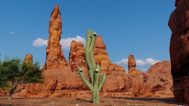 A cactus is in front of a large rock formation. clipart