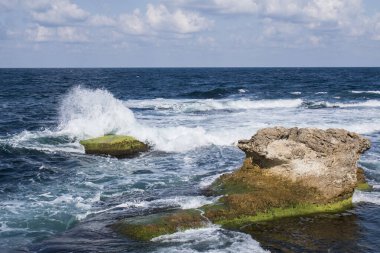 Dalgalar deniz kayalarında sıçrıyor