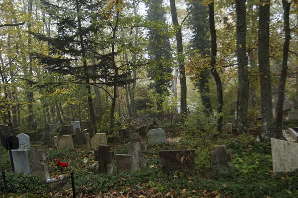 Jesienna Mgła Starożytnym Cmentarzu — Zdjęcie stockowe