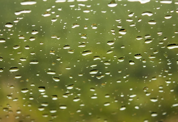 stock image Rain drops on the window