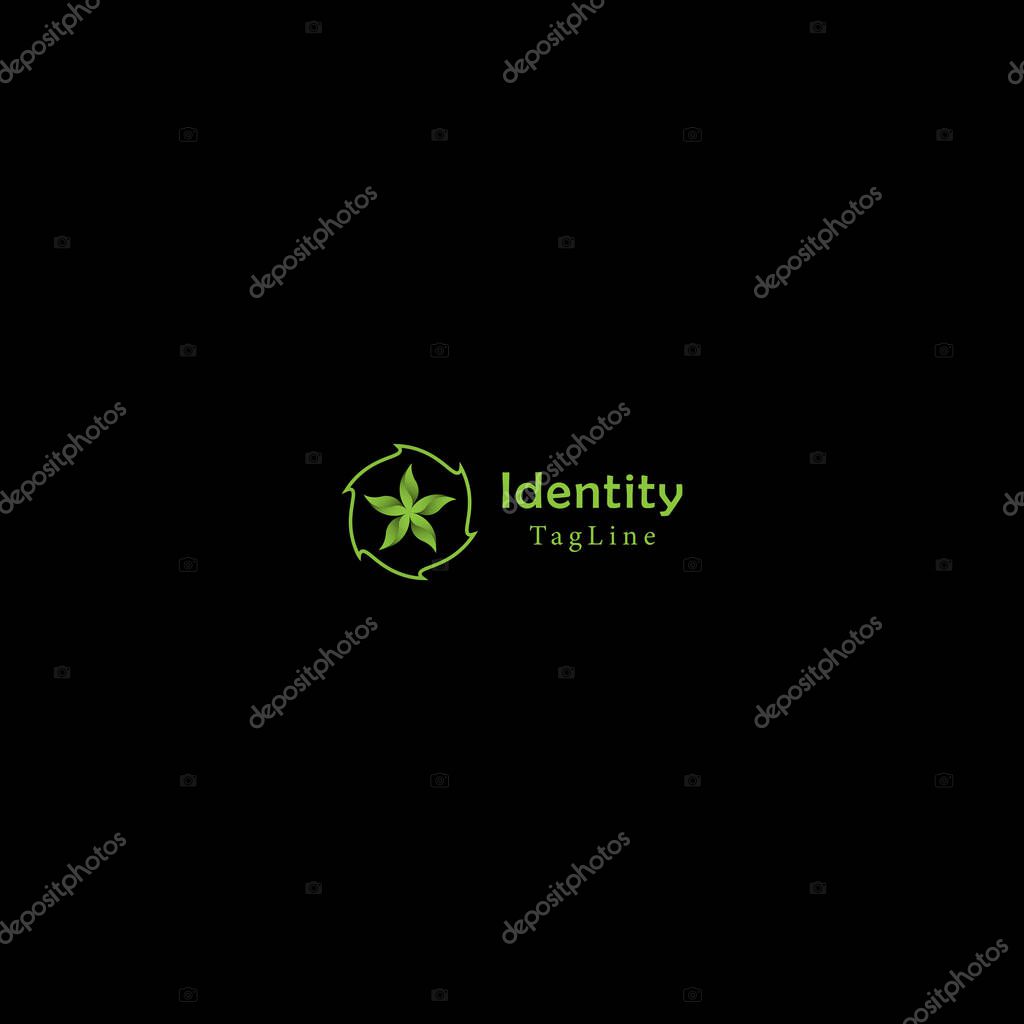 Star Leaf Natural Logo Design with Black Background