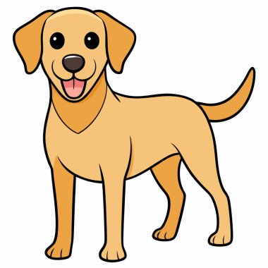 Labrador Retriever - Vektör İllüstrasyonu, Beyaz Arkaplanda İzole Edildi