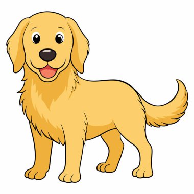  Beyaz arkaplanda şirin Golden Retriever Dog Çizgi Filmi Karakteri, vektör illüstrasyonu