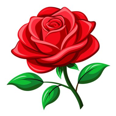 Kırmızı Gül Beyaz Arkaplan Duvar Kağıdı Vektörü Dosyası