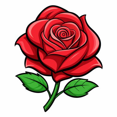 Kırmızı Gül Beyaz Arkaplan Duvar Kağıdı Vektörü Dosyası