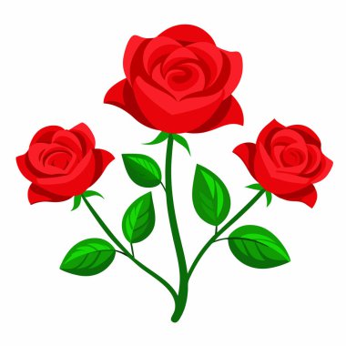 Kırmızı Gül Beyaz Arkaplan Duvar Kağıdı Vektörü Dosyası