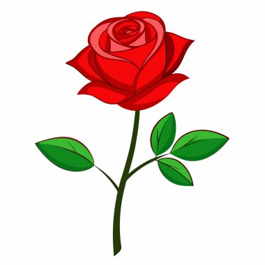 Kırmızı Gül Beyaz Arkaplan Duvar Kağıdı Vektörü Dosyası