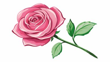 Gül Pembe Beyaz Arkaplan Duvar Kağıdı Vektörü Dosyası