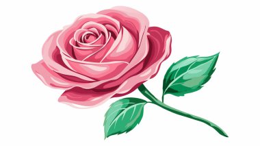 Gül Pembe Beyaz Arkaplan Duvar Kağıdı Vektörü Dosyası