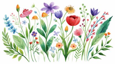 Renkli çiçeklerin suluboya resmi, beyaz arkaplan, duvar kağıdı, vektör dosyası.