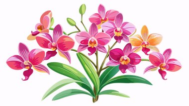 Orkide çiçeği, pembe, sarı ve mor, beyaz arkaplan duvar kağıdı, vektör dosyası