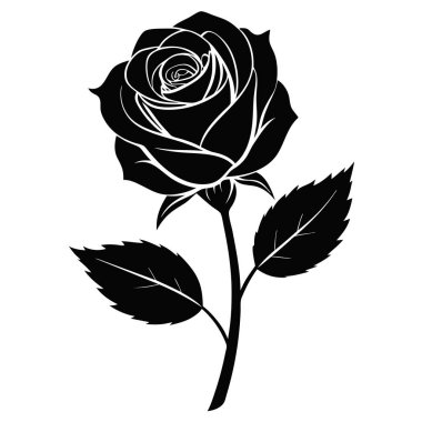 Siyah Gül Siluet Vektör İllüstrasyon Siyah Gül Siluet Görüntü Beyaz Arkaplanda