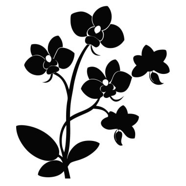 Orkide çiçeği silueti Orkide 'nin siyah gölgesi Orkide Vektörü' nün beyaz arkaplanda siyah gölgesi