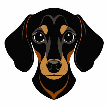 Dachshund köpeği Baş siluet Vektör illüstrasyonunun ön görünümü Beyaz Arkaplan