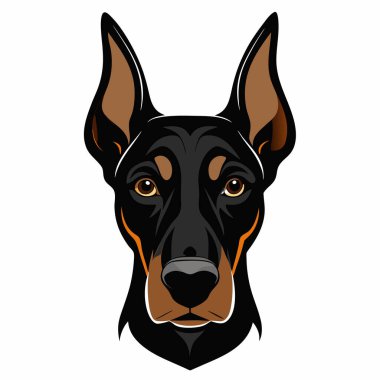 Doberman Pinscher köpeği baş siluet Vektör illüstrasyonunun ön görüntüsü Beyaz Arkaplan