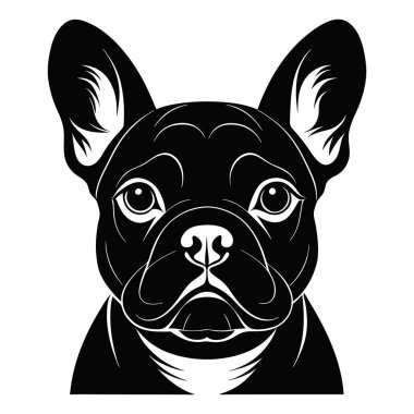Fransız Bulldog Baş Siluet Vektör illüstrasyonu Beyaz Arkaplan Görünümü