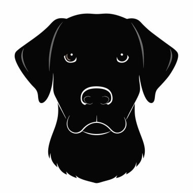 Baş siluet Vektör illüstrasyonunun Labrador Retriever Dog Front görünümü Beyaz Arkaplan