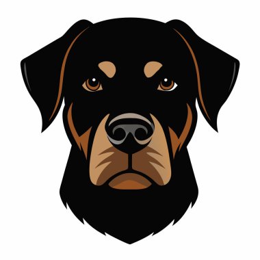Rottweiler köpeği baş siluet Vektör illüstrasyonunun ön görünümü Beyaz Arkaplan