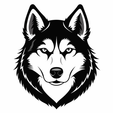 Sibirya Husky Köpek Önü baş siluet Vektör illüstrasyonu Beyaz Arkaplan