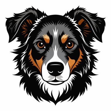 Avustralyalı Çoban Köpeği Baş Siluet Vektör illüstrasyonu Beyaz Arkaplan Görünümü